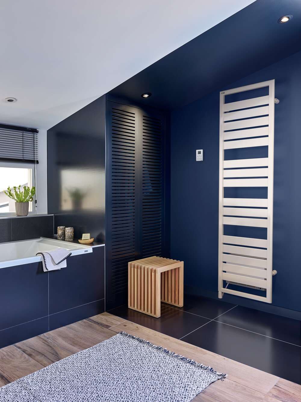 Radiateur Acova Forana + Air