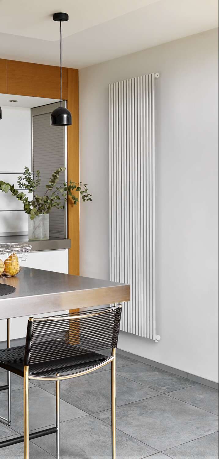 Radiateur Acova Filin Vertical double