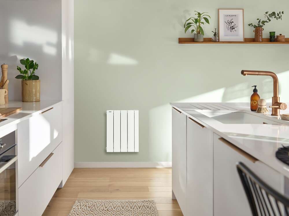 Radiateur Acova Alcantara 3