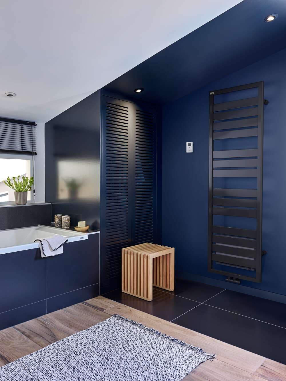 Radiateur Acova Forana + Air