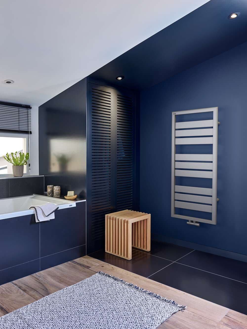 Radiateur Acova Forana
