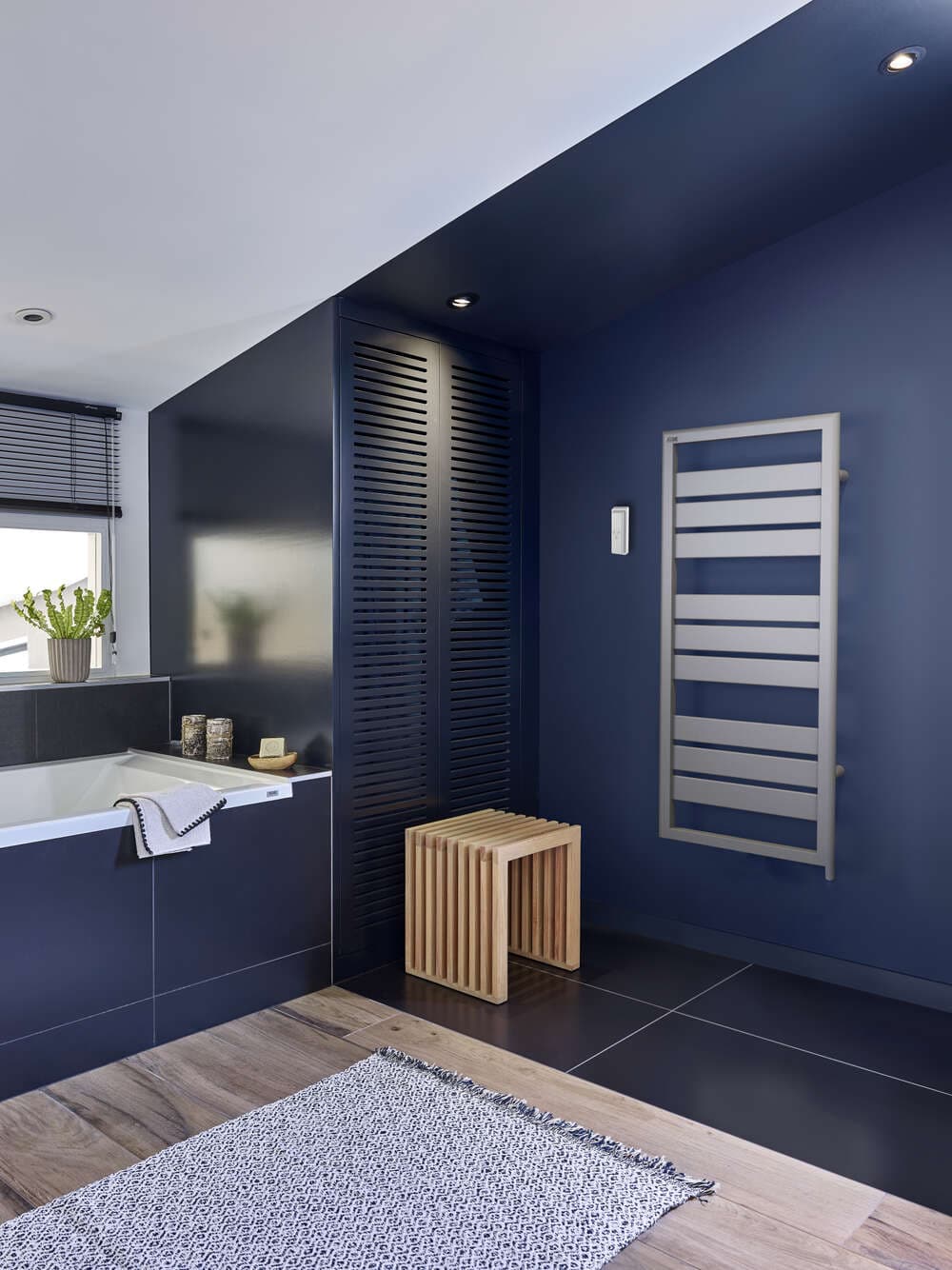 Radiateur Acova Forana