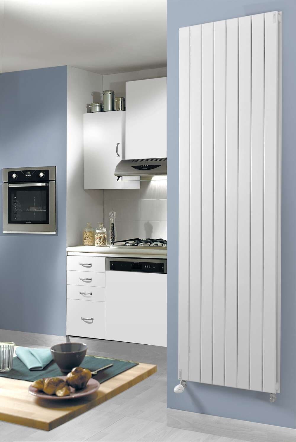 Radiateur Acova Lina Vertical simple