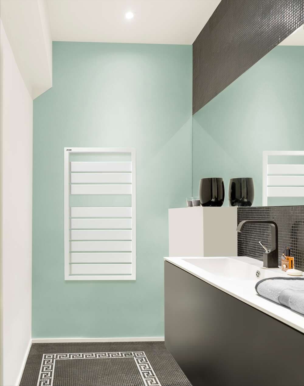Radiateur Acova Astrakan