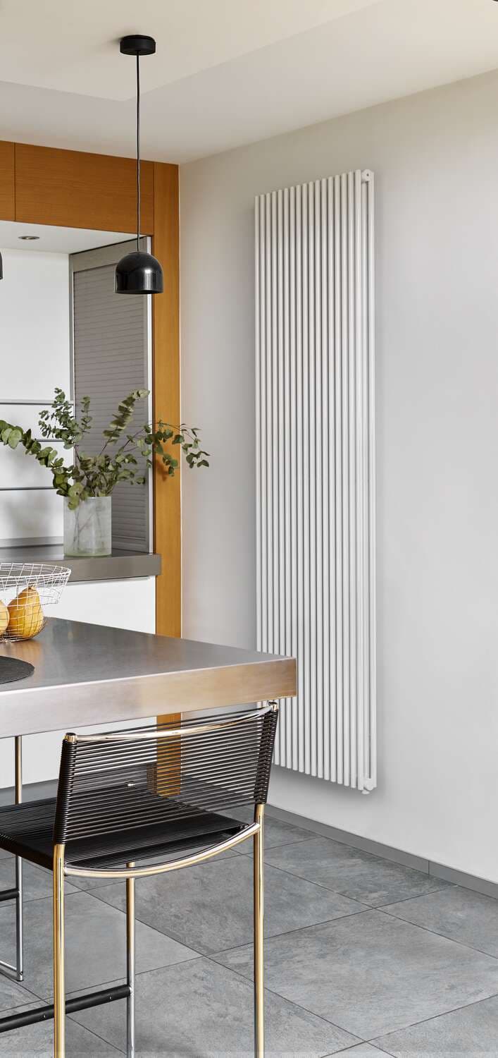 Radiateur Acova Filin Vertical double — image 3