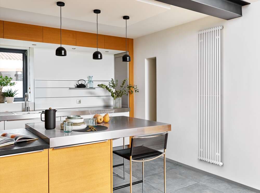 Radiateur Acova Filin Vertical double — image 2