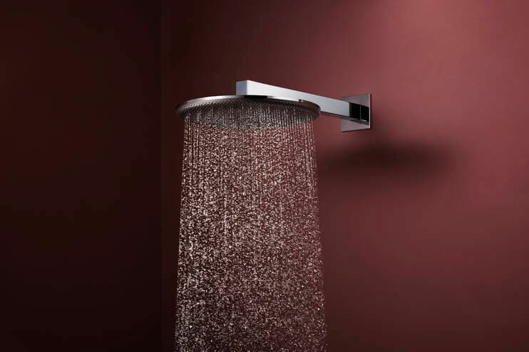 Raindance Alive S Douche de tête 300 2jet avec bras de douche 390 mm Hansgrohe — image 2