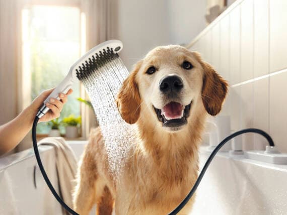 DogShower Douchette pour chien 150 3jet avec buses massantes Hansgrohe — image 2