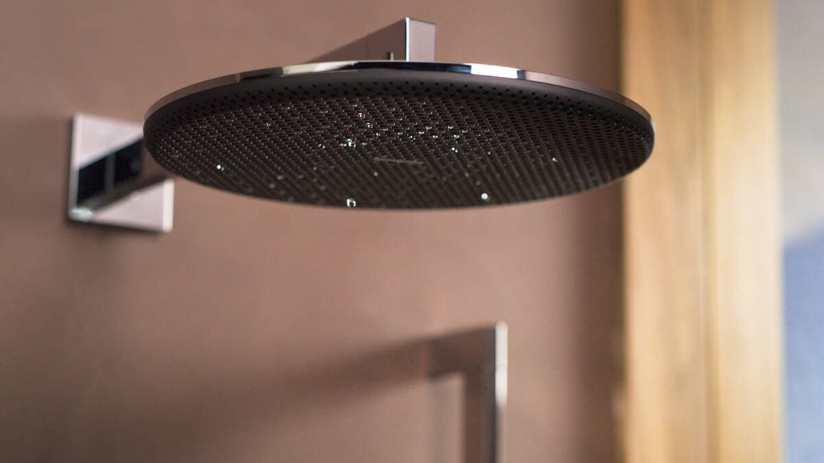 Raindance Alive S Douche de tête 300 2jet avec bras de douche 390 mm Hansgrohe — image 3